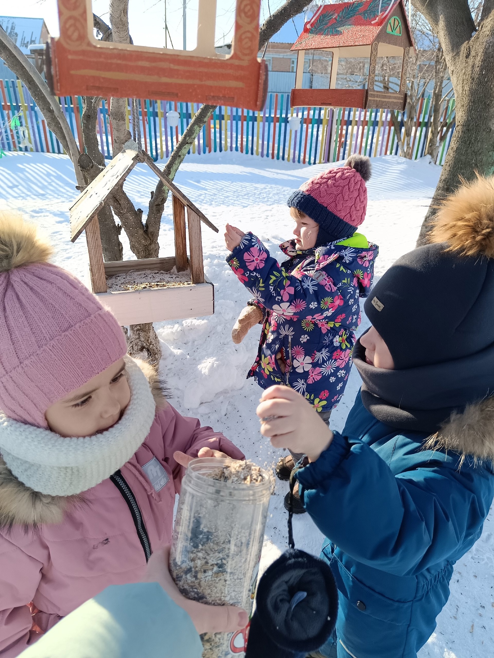 Кормление зимующих птиц.