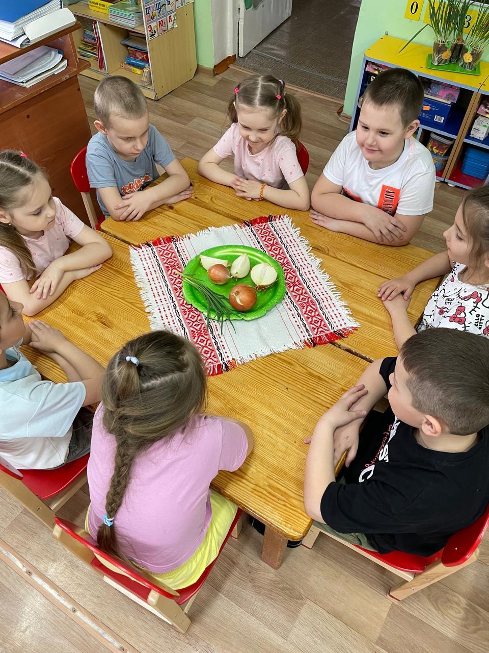 В старшей группе « Полянка» сегодня прошло познавательное занятие « Лук от семи недуг» .
